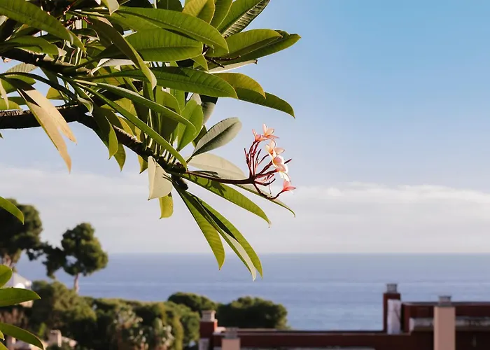 Hacienda Clavero Eight Sea View